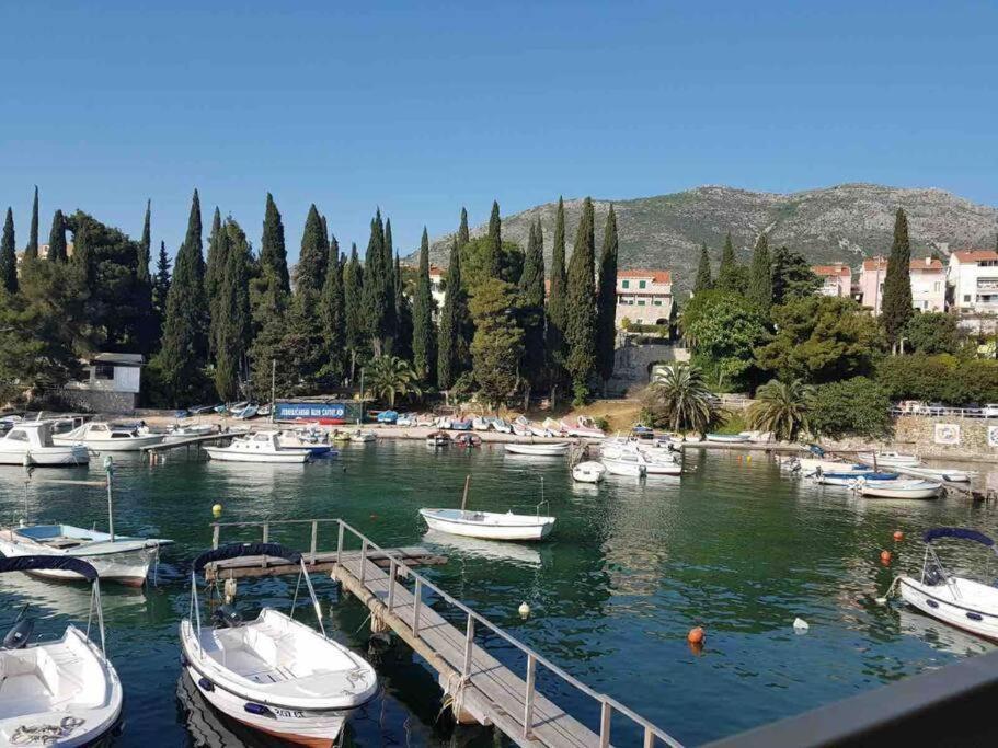 Apartment Lovely Split Level With Sea View, Pool, Free Parking And Wifi *